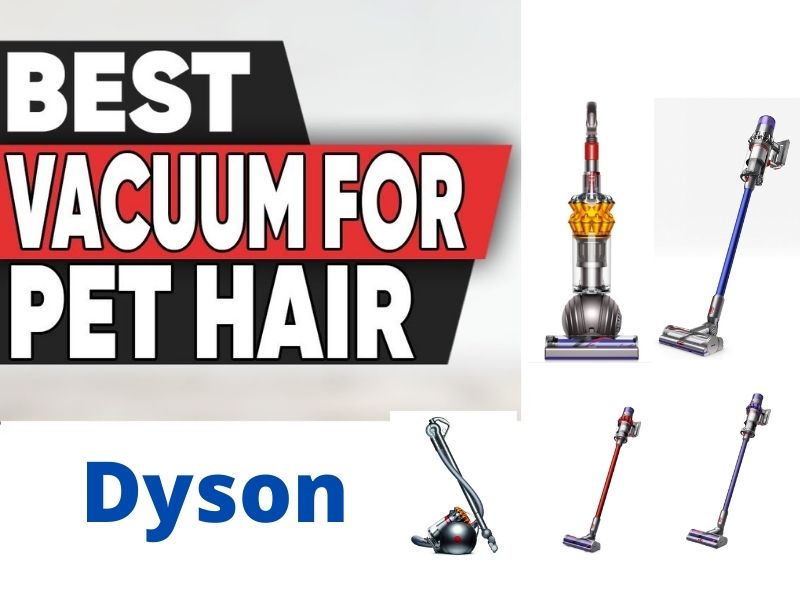 8 Best Dyson Vacuums For Pet Hair Reviews In 2022 DysonDude 2023