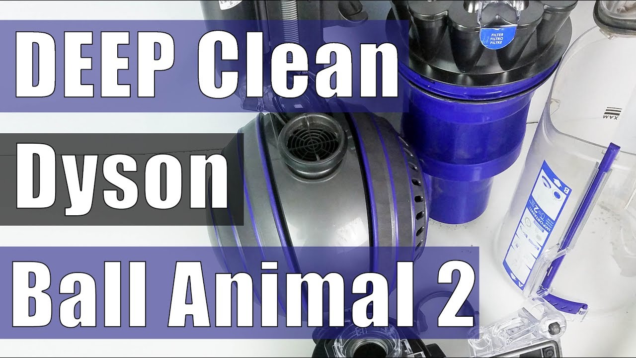 How To Clean Dyson Ball Animal 2