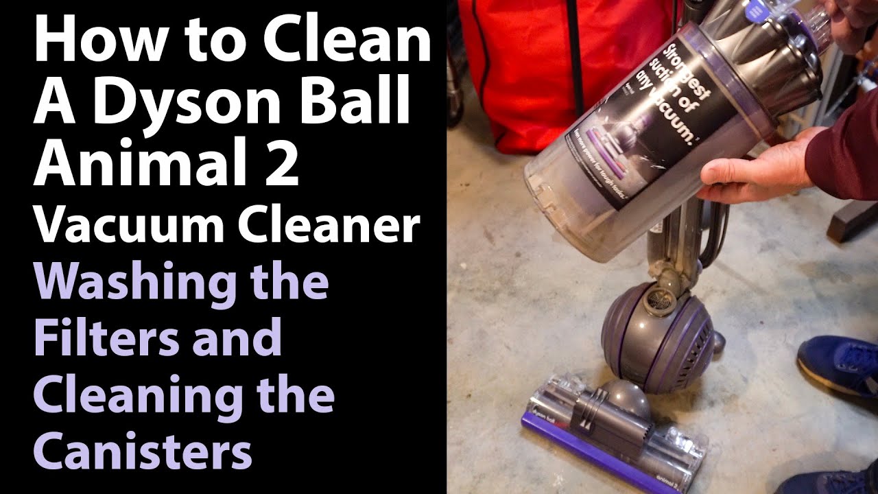 How To Clean A Dyson Animal 2 Filter 2022