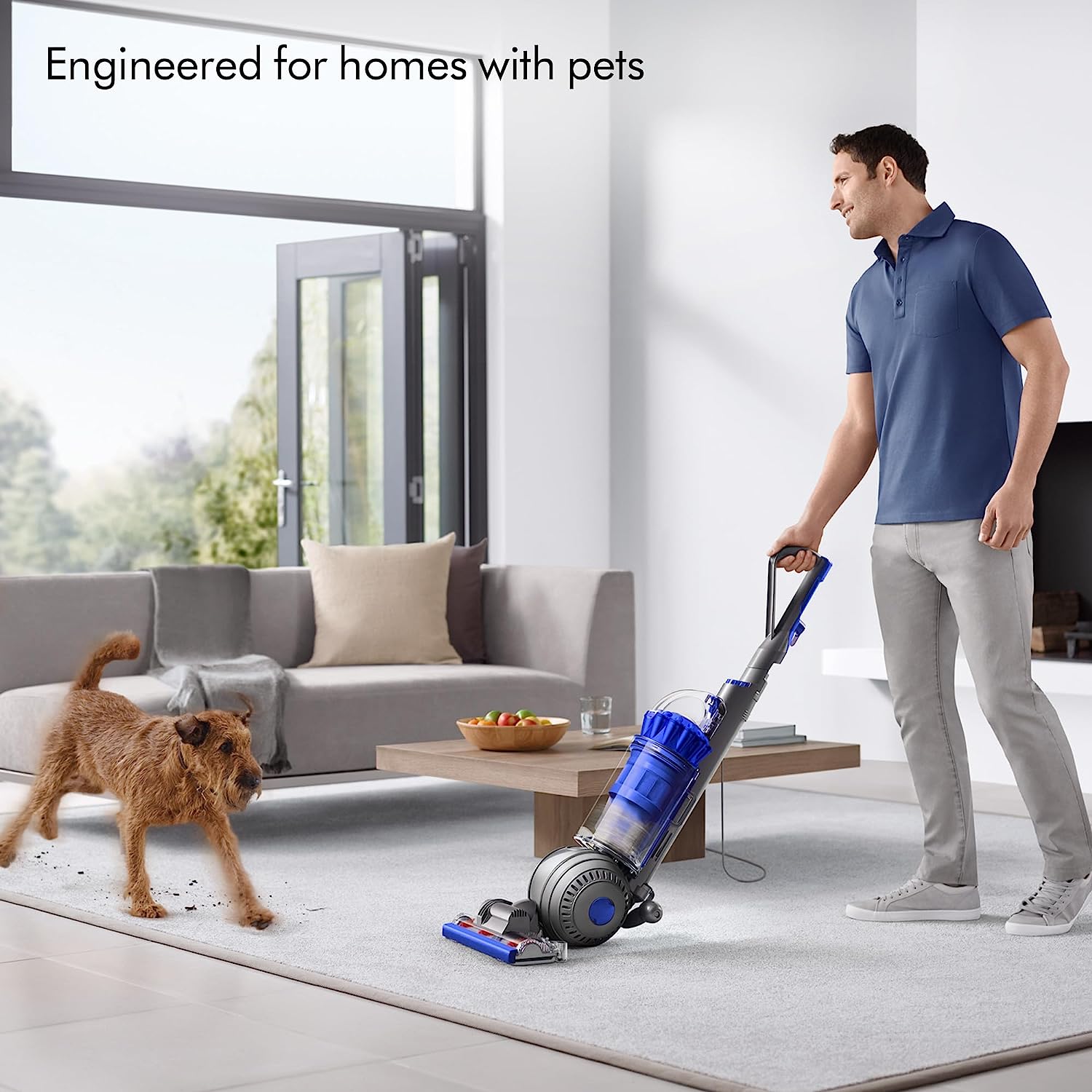 Dyson Ball Animal 2 Total Clean Upright Vacuum Cleaner, Blue Review