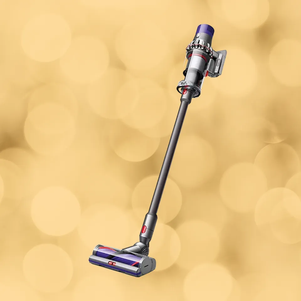 The Ultimate Guide to Dyson Animal Series: Are they worth the investment? Longevity and Durability